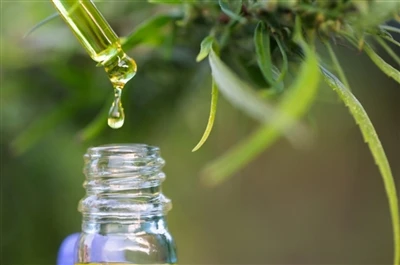 CBD vs. THC: Alles wat u moet weten