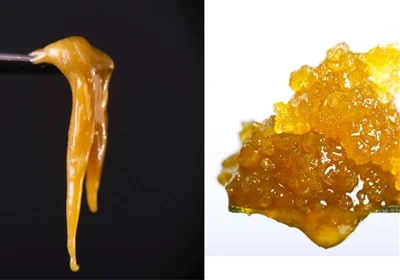 Live hars versus live Rosin: wat is het verschil?